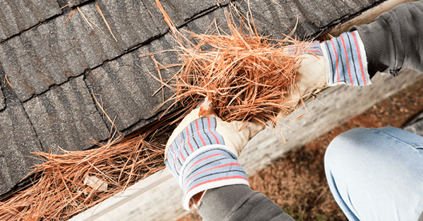 Maintaining a Clean Roof Gutter in Preparation for the Rainy Season