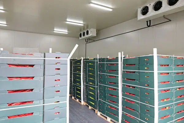 You are currently viewing Walk-in Coolers for Your Growing Business