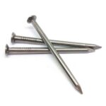 Common Nail 3"